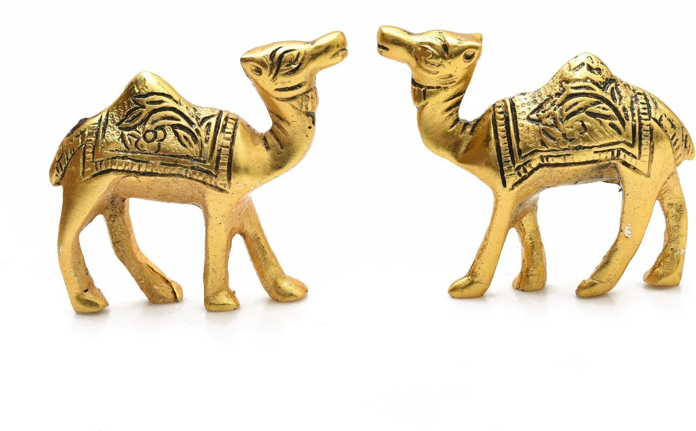 Golden Metal Rajasthani Camel Showpiece Living Room Decor Gifts set of 1pc Decorative Showpiece  -  10.2 cm (Brass, Gold)