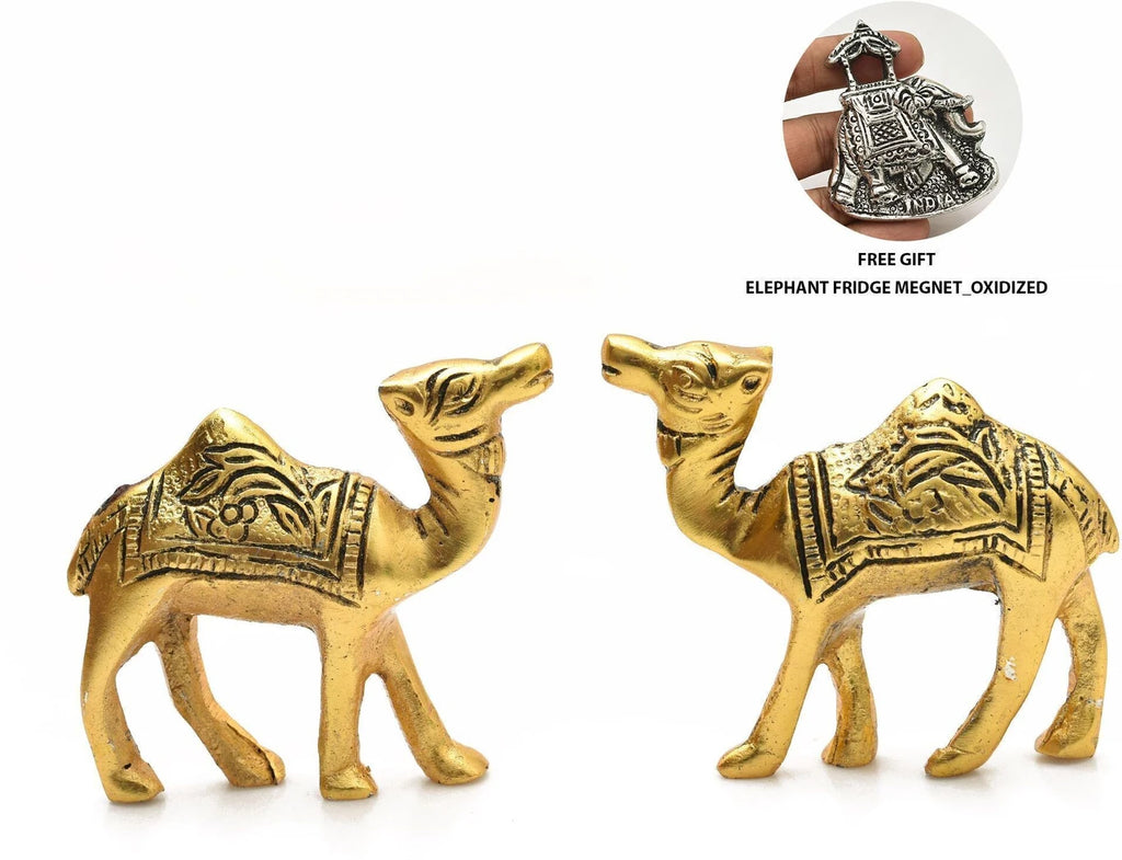 Golden Metal Rajasthani Camel Showpiece Living Room Decor Gifts set of 1pc Decorative Showpiece  -  10.2 cm (Brass, Gold)