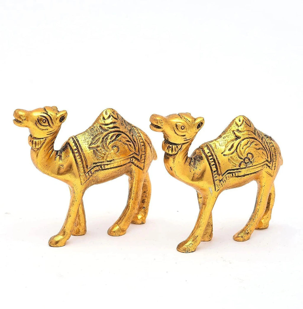 Golden Metal Rajasthani Camel Showpiece Living Room Decor Gifts set of 1pc Decorative Showpiece  -  10.2 cm (Brass, Gold)